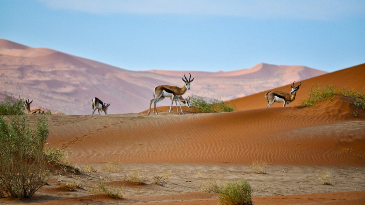 Belleza de Namibia